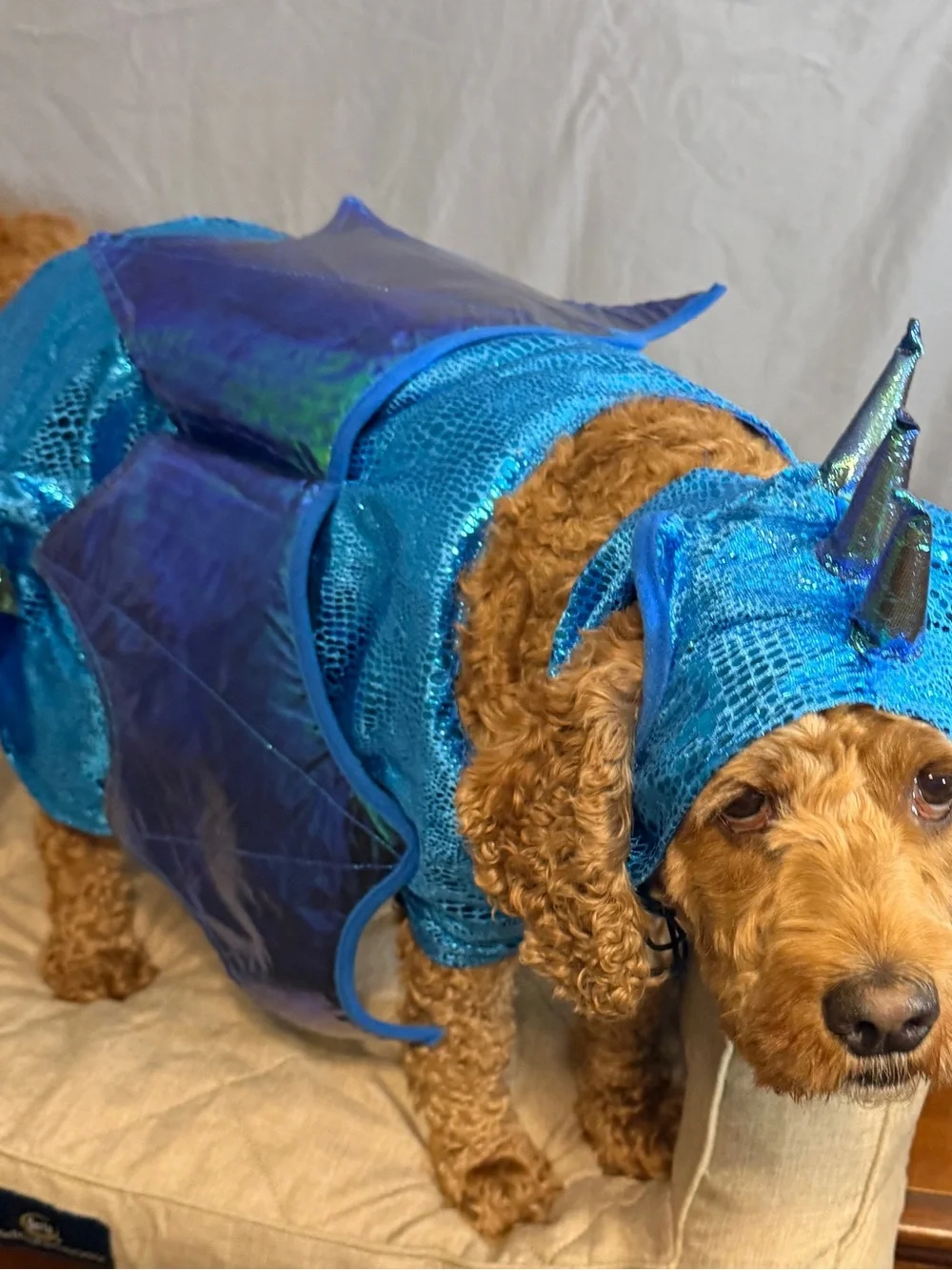 Blue Iridescent Mermaid Costume Top